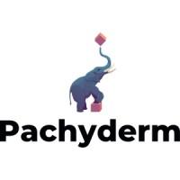 Logo for Pachyderm